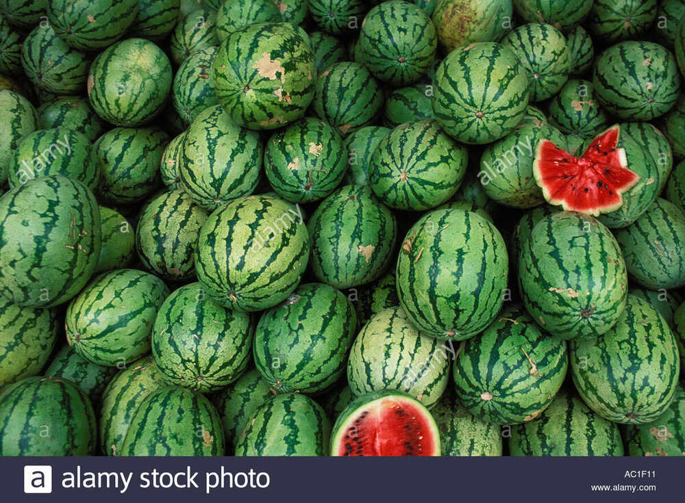 india-goa-watermelons-in-market-AC1F11.jpg