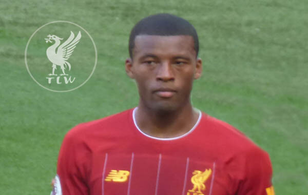 wijnaldum1_600.jpg