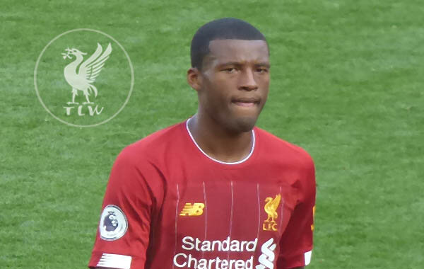 wijnaldum2_600.jpg