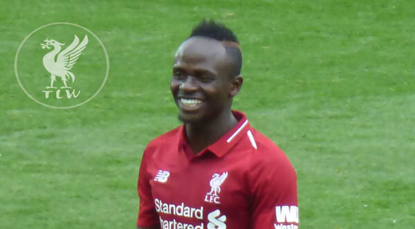 mane3_600.jpg