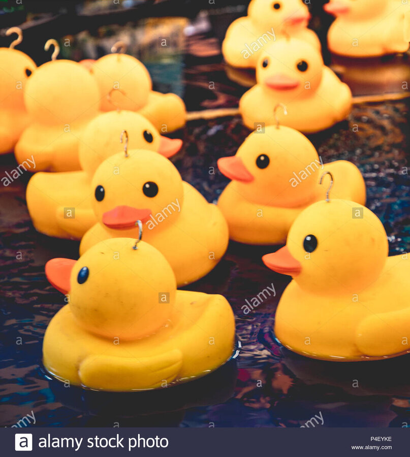 yellow-plastic-ducks-at-a-fairground-hook-a-duck-game-june-2018-P4EYKE.jpg