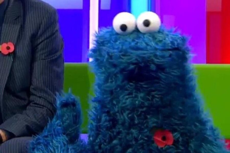 cookie-monster-poppy-1.jpg