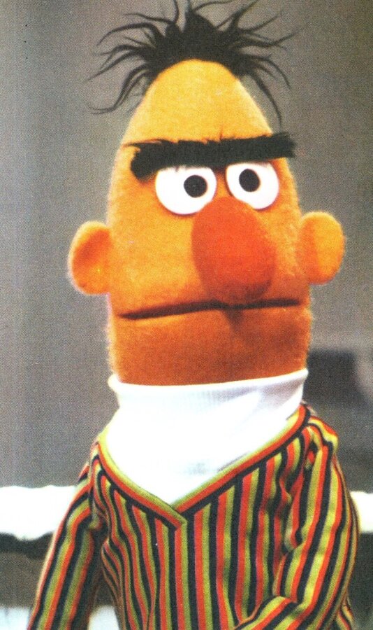 Bert1970s.jpg