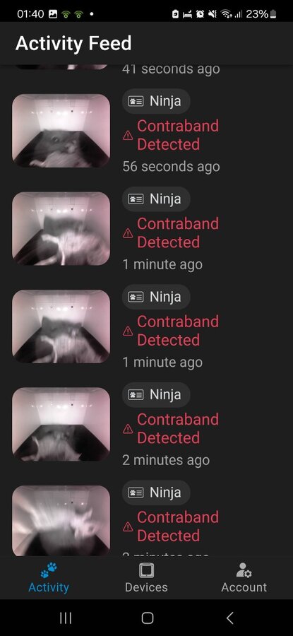 Screenshot_20250416_014029_OnlyCat.jpg